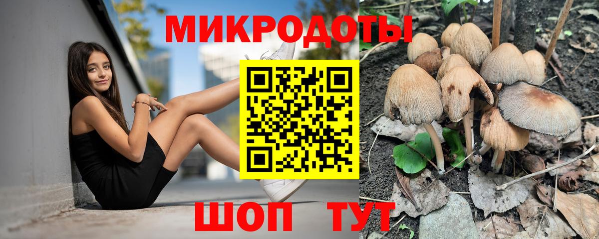 Псилоцибиновые грибы MAGIC MUSHROOMS Ростов-на-Дону