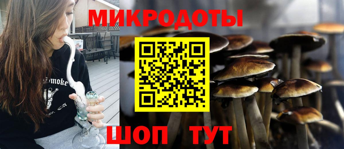 Псилоцибиновые грибы Magic Shrooms  Галлюциногенные грибы мухоморы  Ростов-на-Дону  дарнет шоп  Вход с VPN 